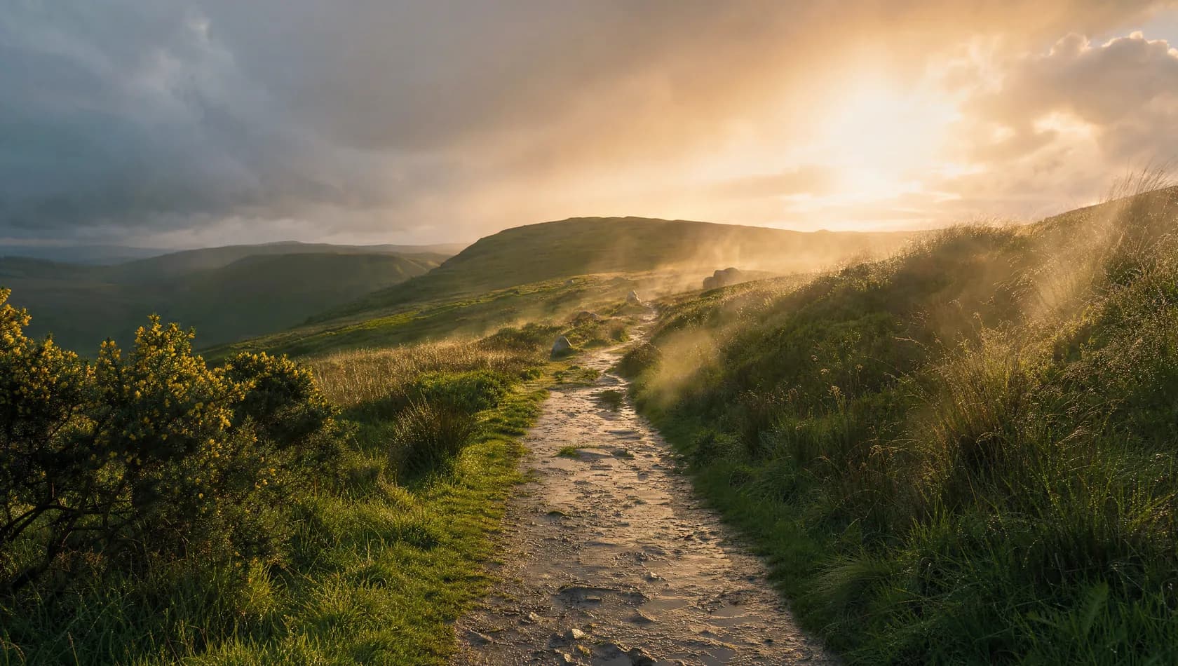 Rain clearing over a hill path in early summer, the grass bright and steaming where the sun catches it, no people.