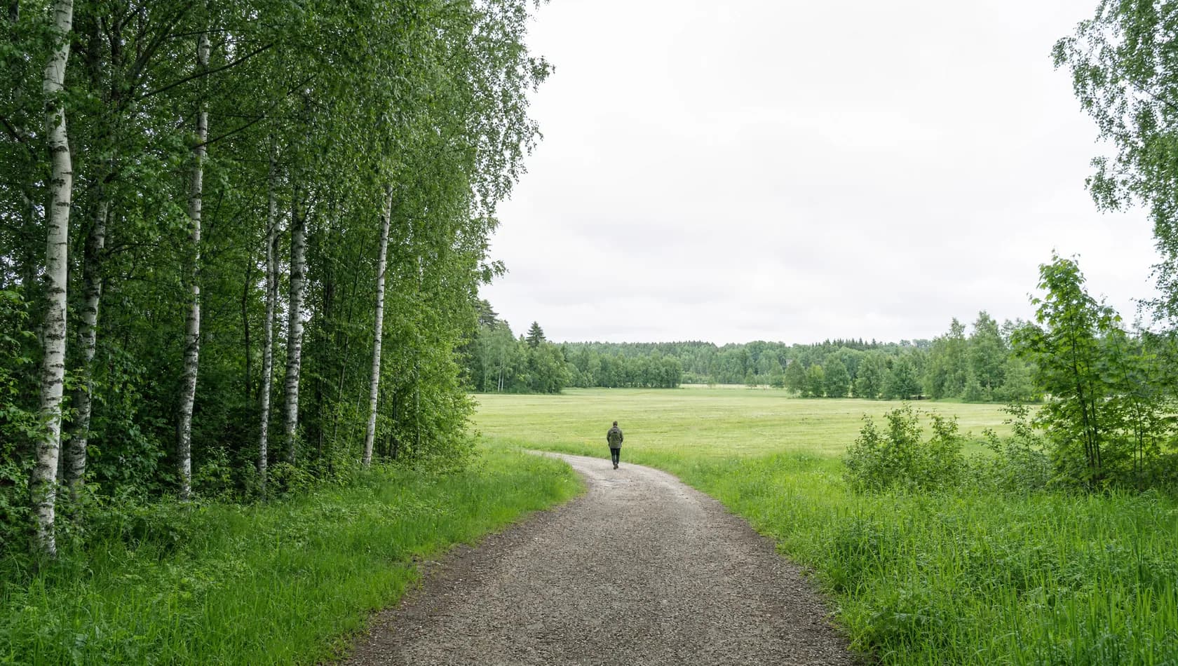 A gravel path leaving a stand of birch and opening onto a mown field in late morning; one small figure far down the path, back turned.