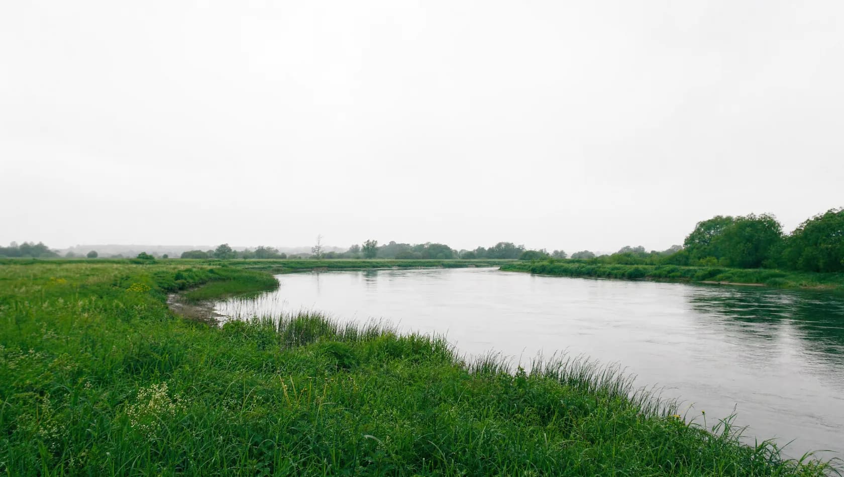 A broad river bend seen from a low grassy bank in flat overcast light, the far shore soft, no people.