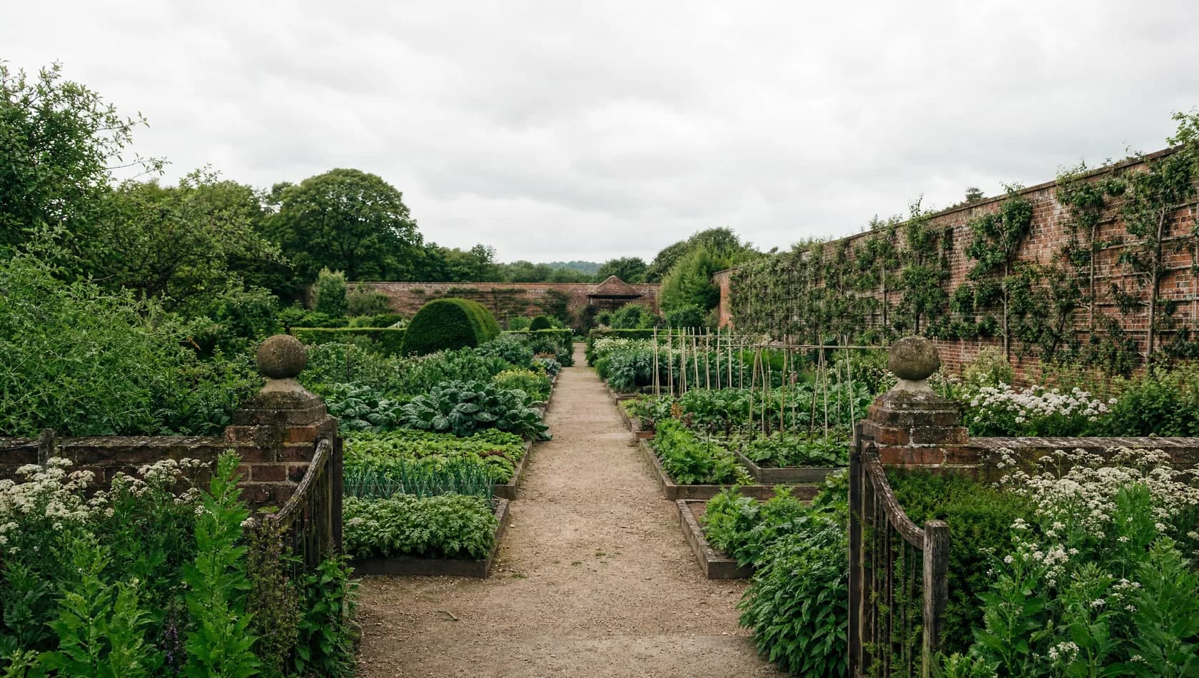 A wide walled kitchen garden in full growth seen from the gate, espaliered fruit along the brick, deep greens, no people.