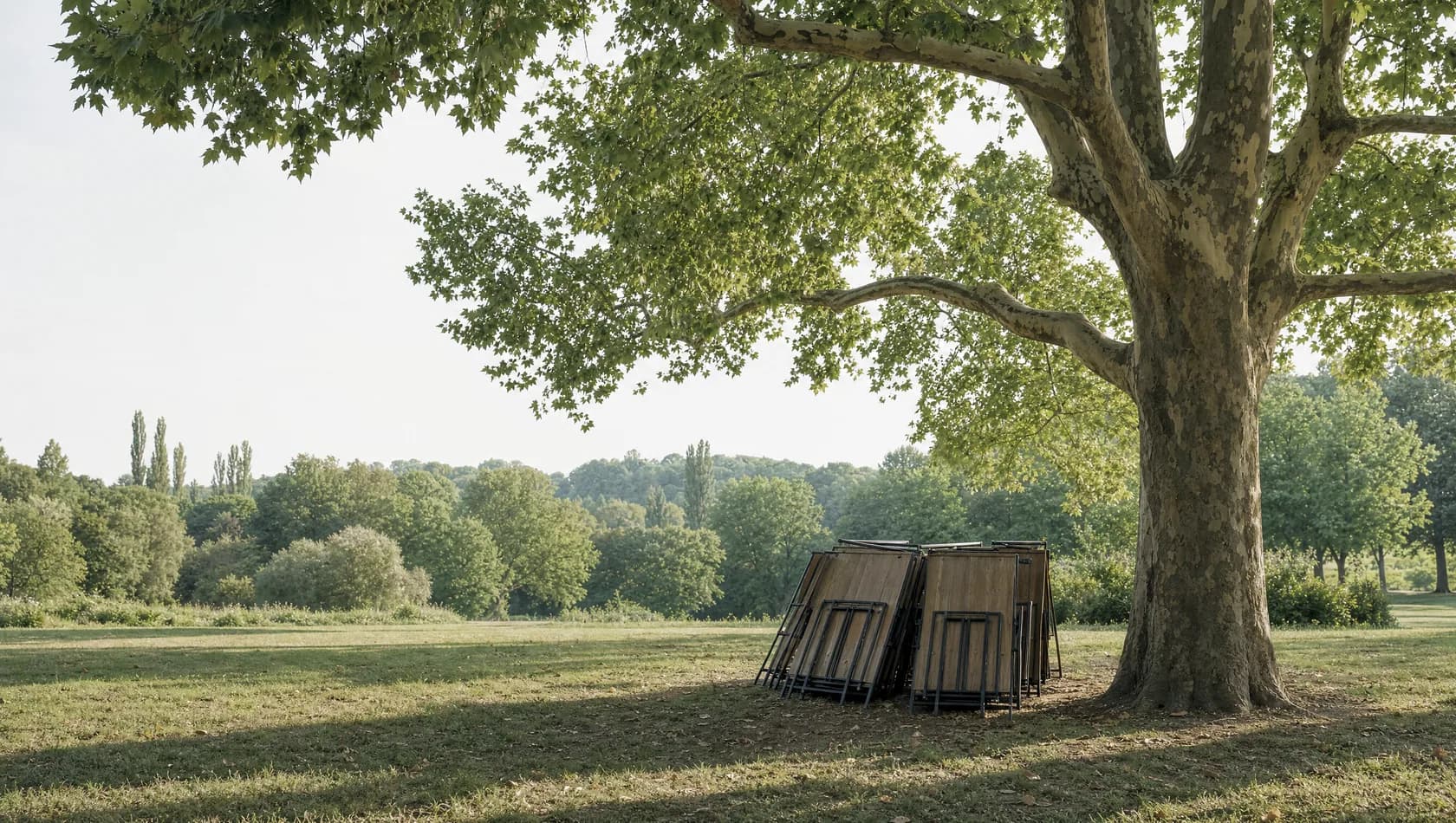 A park clearing where folding tables stand stacked under a plane tree after an event, long afternoon shadows, nobody present.