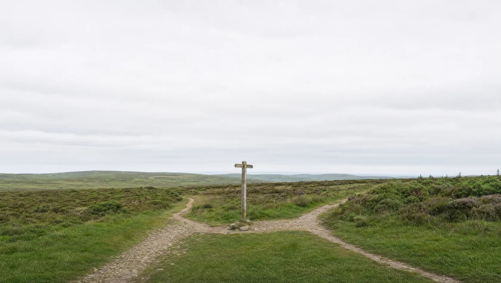 Two footpaths converging at a plain wooden waymarker on open heath under a high grey sky, no people.