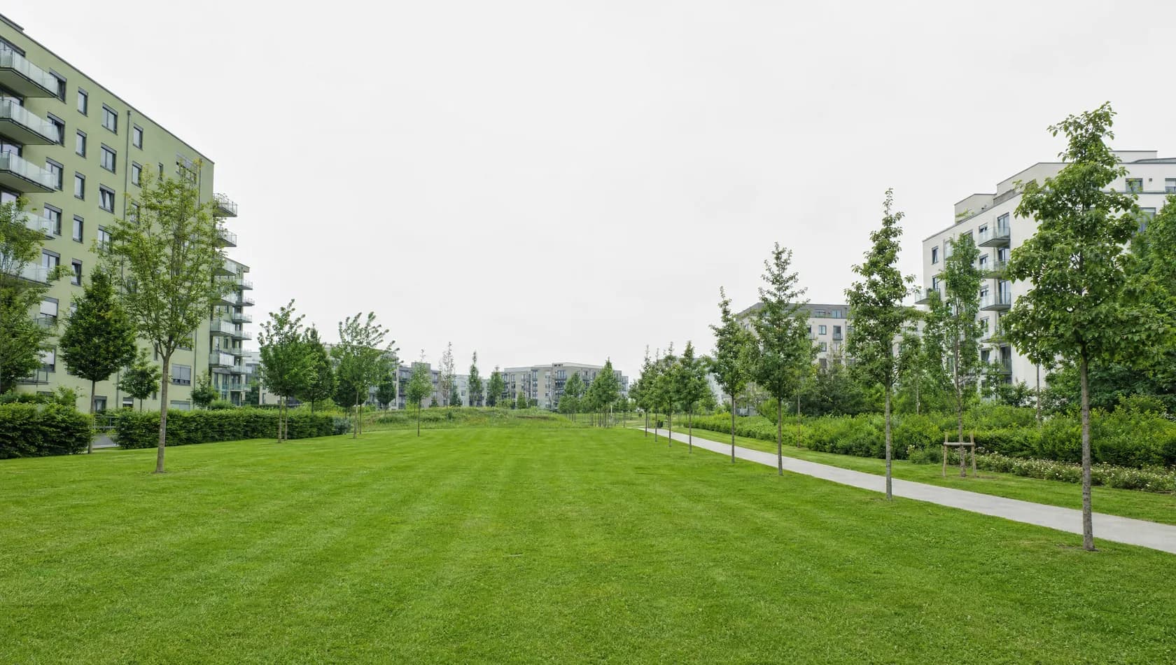 A wide green between blocks of flats with mown grass, a line of young trees and a concrete path, clear daylight, no people.