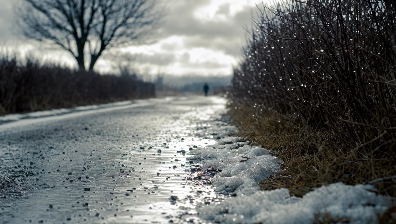 Early spring thaw on a lane, snow gone to slush at the verges and bare hedges beading with meltwater, cold silver light.