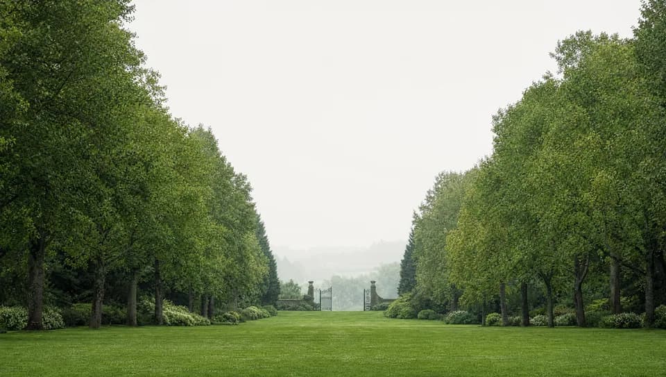 A broad tree-lined avenue leading toward an open gate in the distance, even overcast light, no people.