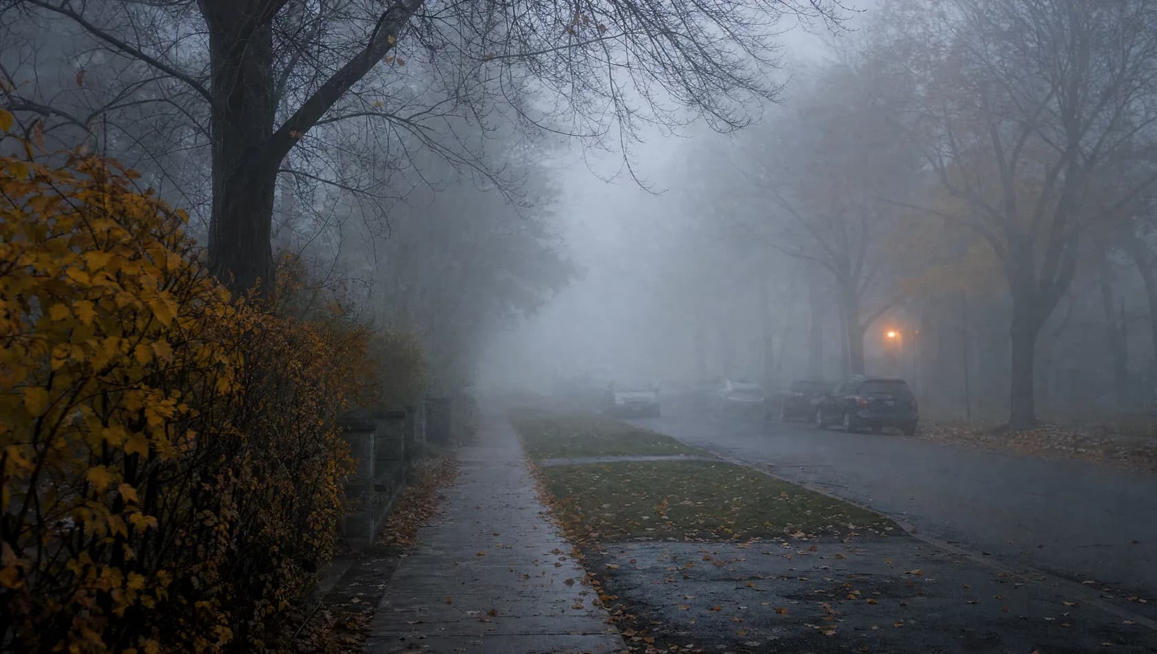 A November fog closing over a suburban street, parked cars fading at twenty metres, flat colourless light, no people.